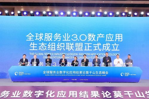 數字賦能，智匯未來 全球服務業(yè)數字化應用研討暨莫干山生態(tài)峰會在德清圓滿落幕